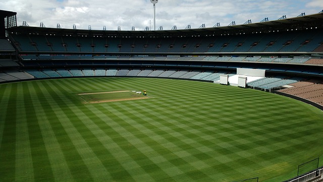 不单体现在 不单体现在