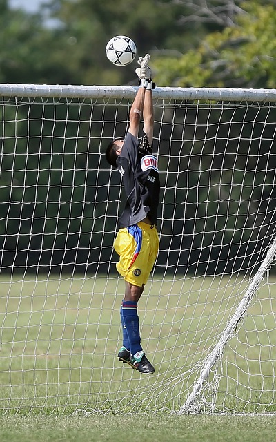 众所熟知 众所熟知