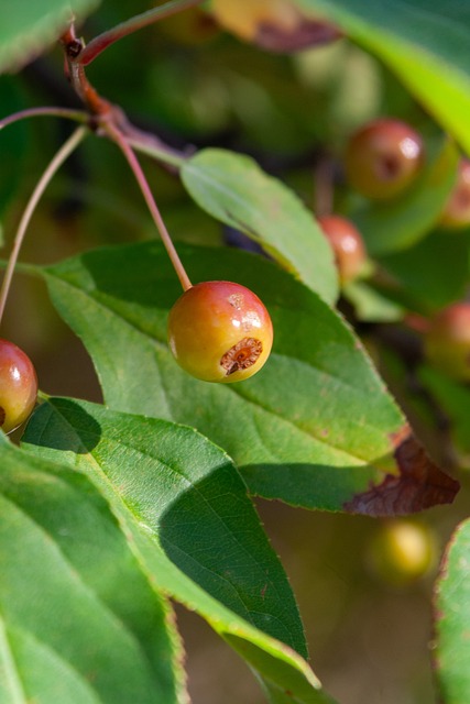 在体育文化 在体育文化